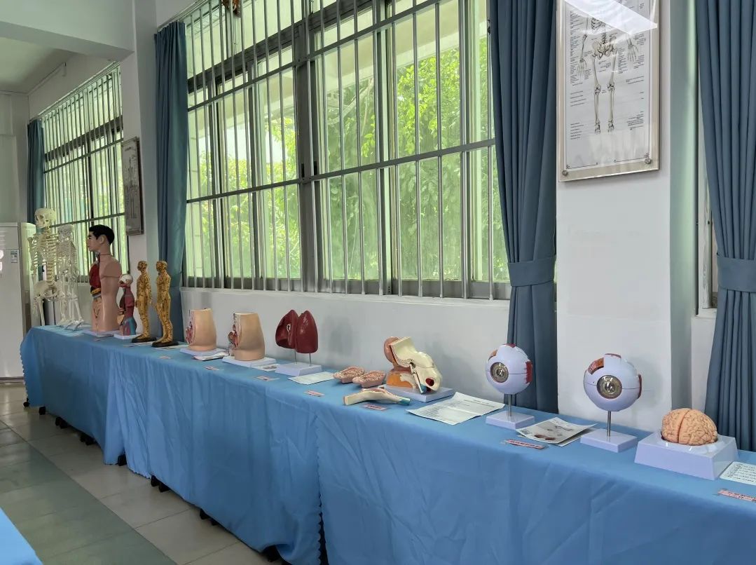 中医康复保健(图13) 中医康复保健(图13)