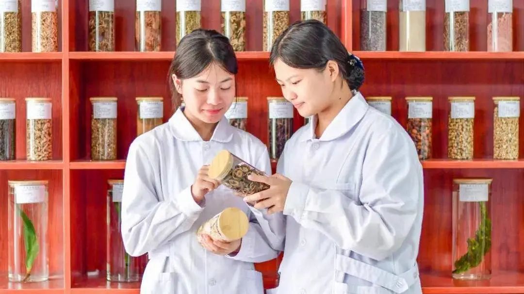 中药(图2) 中药(图2)