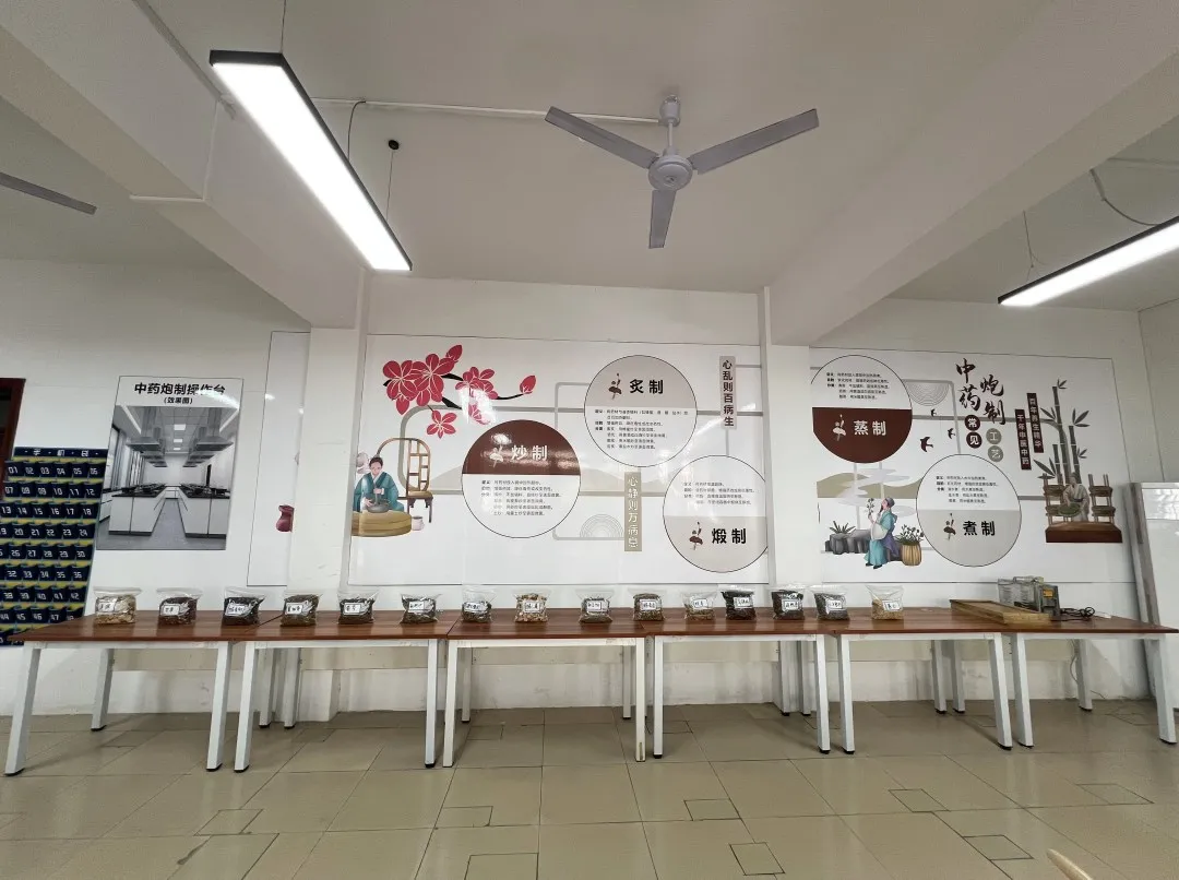 中药(图13)